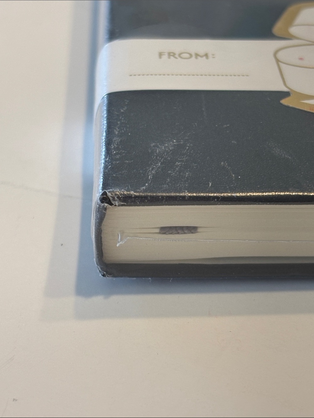 Moleskin Hard Cover Holiday Notebook in Black - Picture 8 of 11